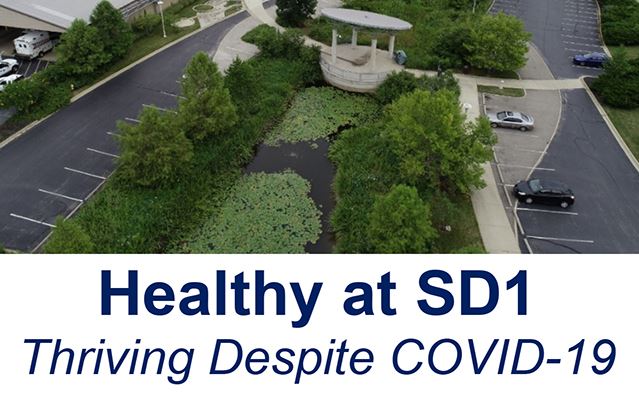 Cover Report Cover News Flash