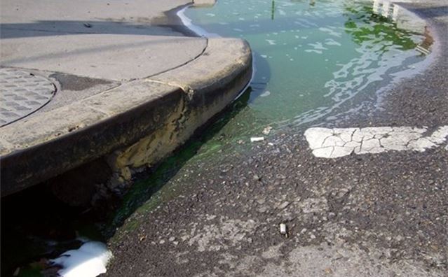 suds in drain news flash