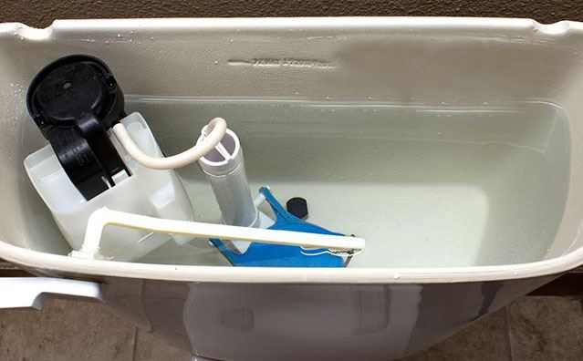 Toilet Tank News Flash